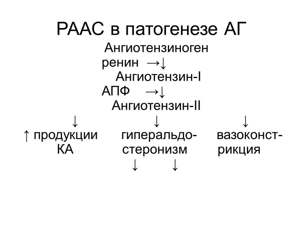 РААС в патогенезе АГ Ангиотензиноген ренин →↓ Ангиотензин-I АПФ →↓ Ангиотензин-II ↓ ↓ ↓